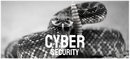 Cyber Security Graphic