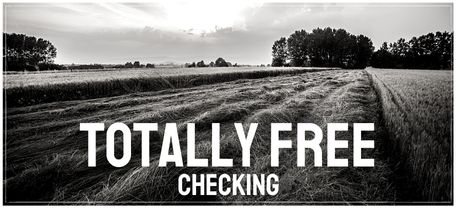 totally free checking graphic
