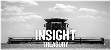 Insight Treasury graphic